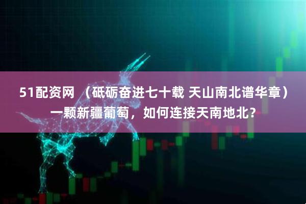 51配资网 （砥砺奋进七十载 天山南北谱华章）一颗新疆葡萄，如何连接天南地北？