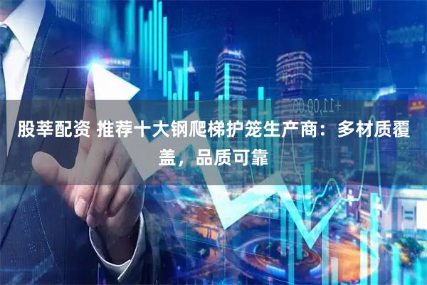 股莘配资 推荐十大钢爬梯护笼生产商：多材质覆盖，品质可靠